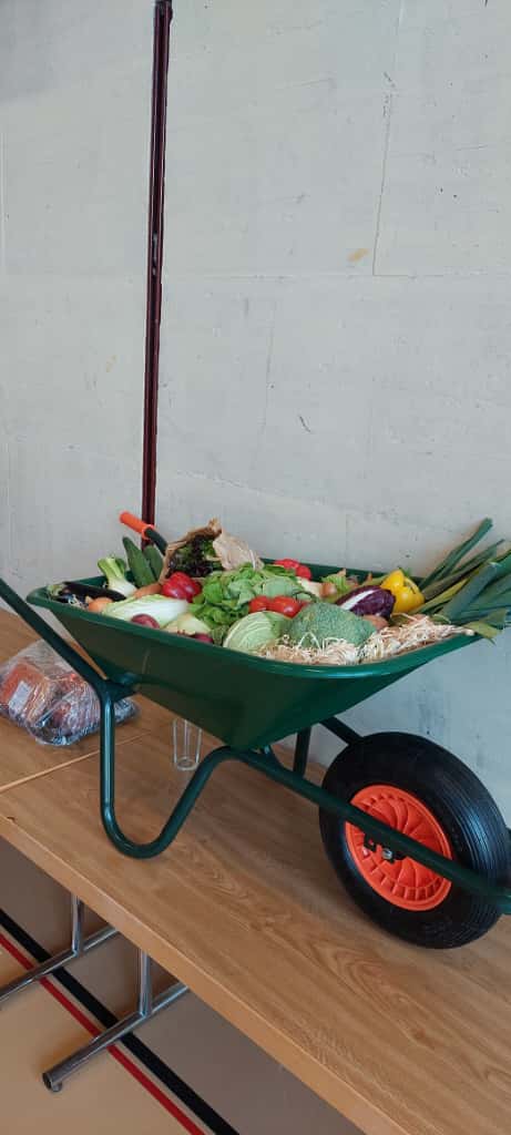 WhatsApp Image 2025 11 09 at 16.40.32 1